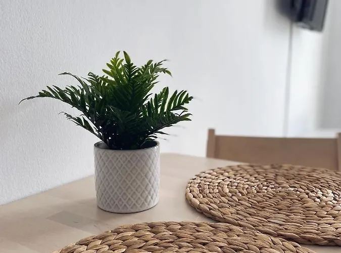 Cataira 科斯塔特吉塞